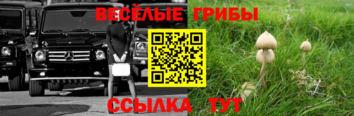 Галлюциногенные грибы MAGIC MUSHROOMS  Вход с VPN  Октябрьский 