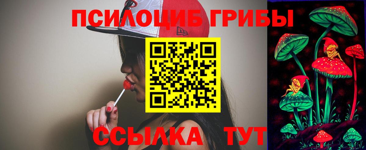 Псилоцибиновые грибы Cubensis Октябрьский